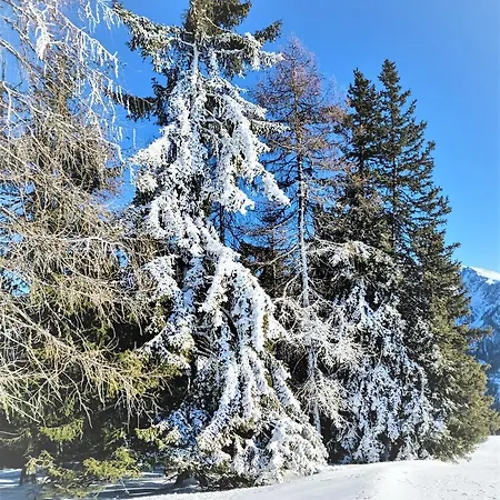 Apartma A1 Golte * Mozirje