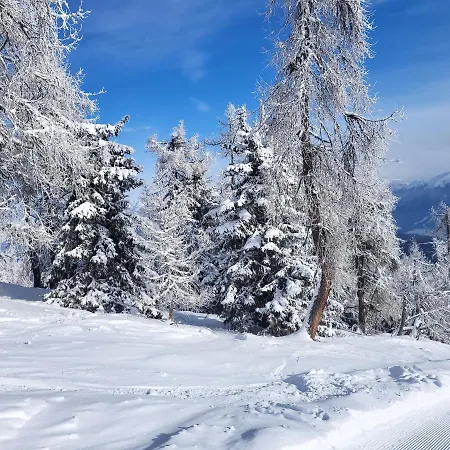 Lägenhet Apartma A1 Golte Mozirje