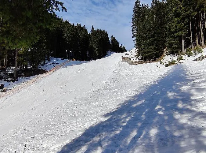 Apartma A1 Golte Appartamento