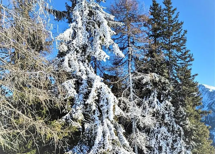 Apartma A1 Golte * Mozirje